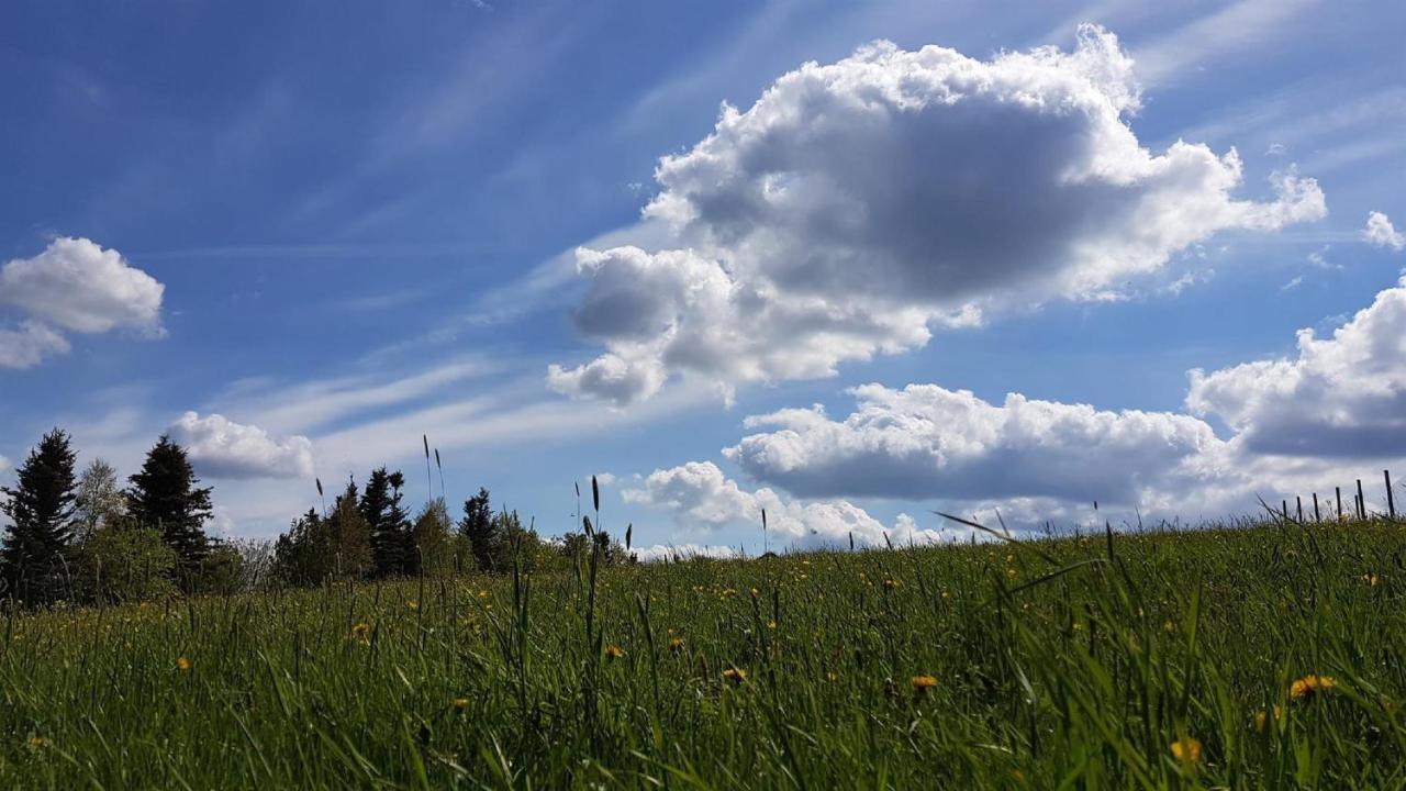 Pension & Gasthof Erbgericht Hoehenlage 850M Marienberg Zewnętrze zdjęcie