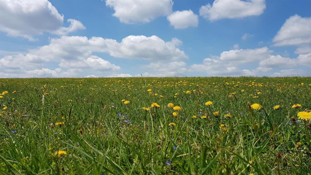 Pension & Gasthof Erbgericht Hoehenlage 850M Marienberg Zewnętrze zdjęcie
