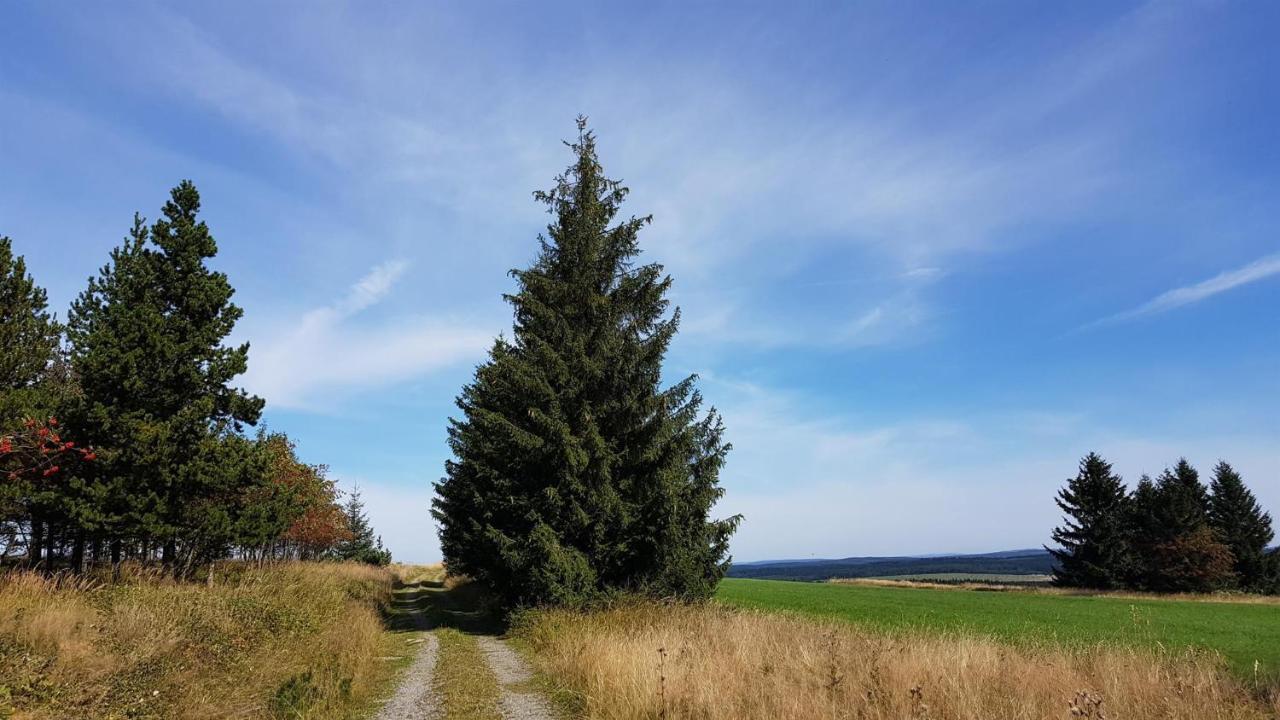 Pension & Gasthof Erbgericht Hoehenlage 850M Marienberg Zewnętrze zdjęcie